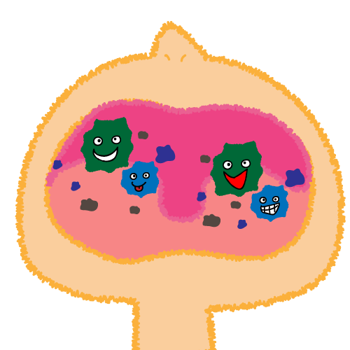 舌苔の細菌のイメージ